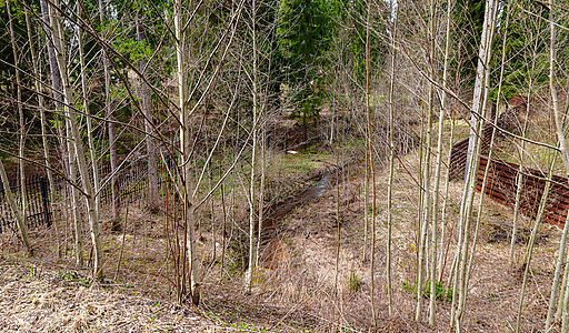 Ушаковские Дачи-1