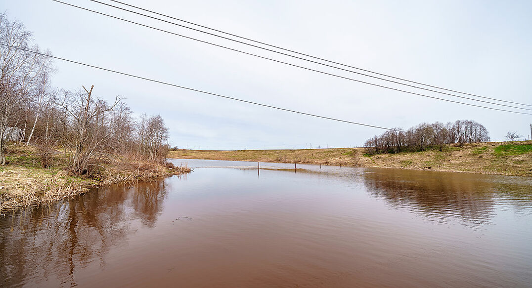 Ушаковские Дачи-1