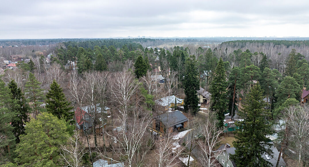 Мамонтовка