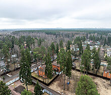 Мамонтовка