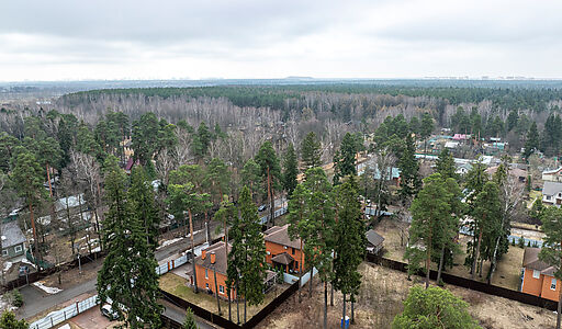 Мамонтовка