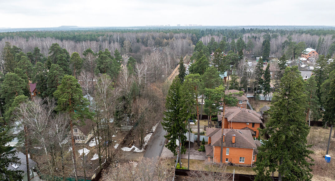 Мамонтовка