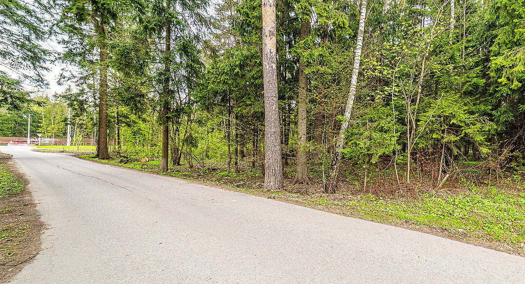 Лесная Слобода