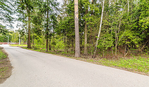 Лесная Слобода