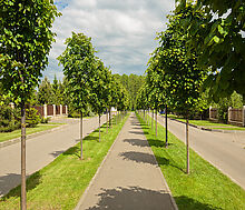 Дом в аренду в КП Пестово