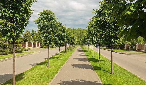 Дом в аренду в КП Пестово