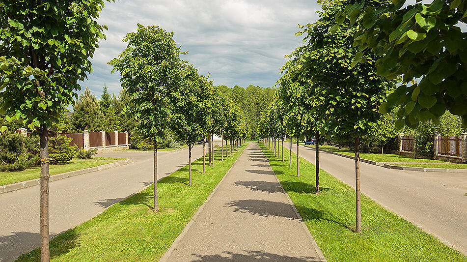 Дом в аренду в КП Пестово
