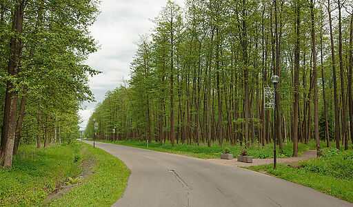 Дом в аренду в КП Пестово