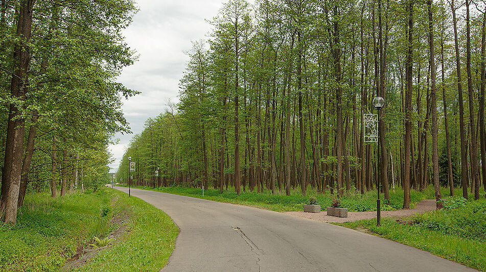Дом в аренду в КП Пестово