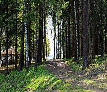 Участок в п. Трудовая Северная