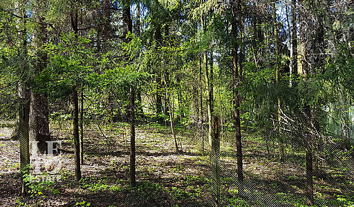 Участок в п. Трудовая Северная