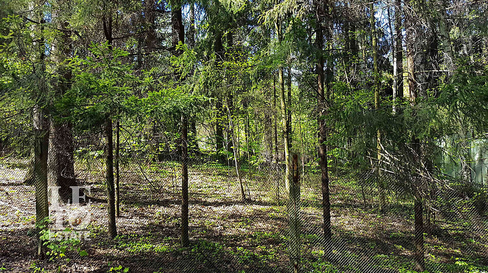 Участок в п. Трудовая Северная