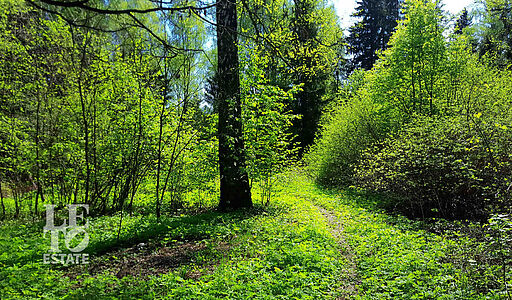 Участок в п. Трудовая Северная