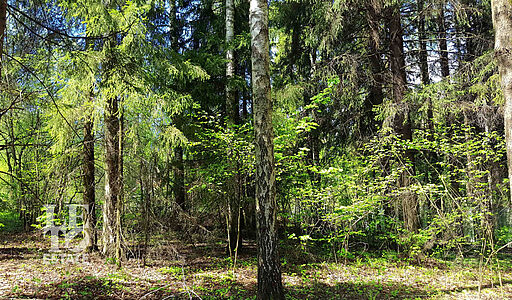 Участок в п. Трудовая Северная