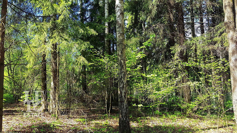 Участок в п. Трудовая Северная