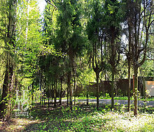 Участок в п. Трудовая Северная