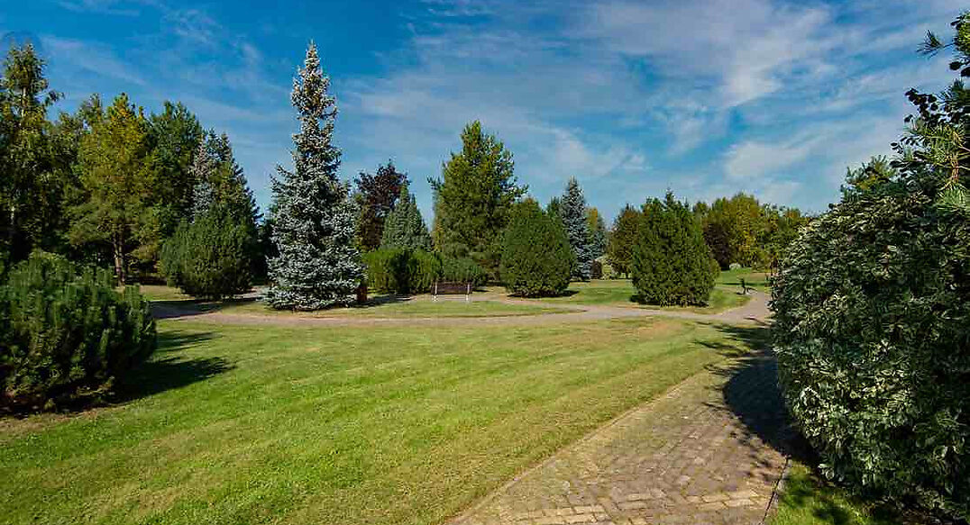 Миллениум Парк