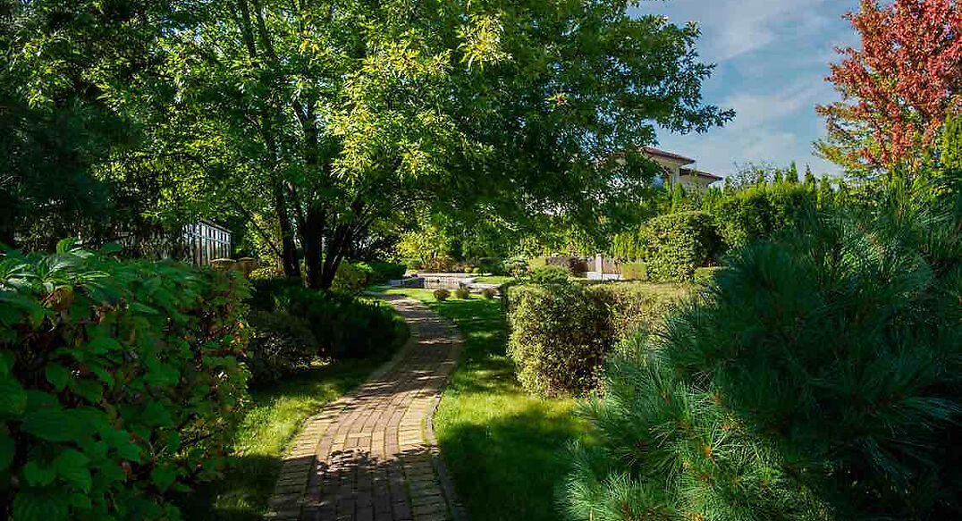 Миллениум Парк