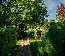 Миллениум Парк