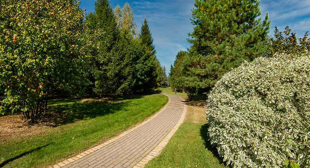 Миллениум Парк