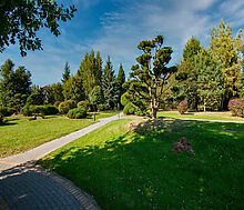 Миллениум Парк