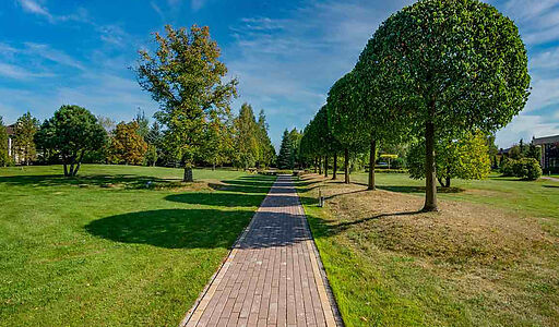 Миллениум Парк