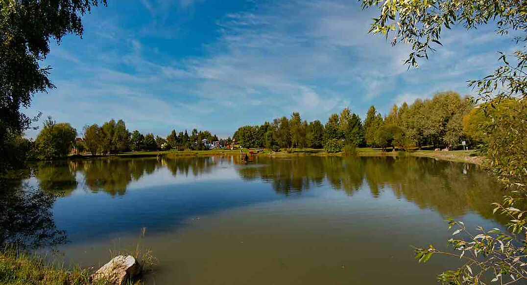 Миллениум Парк