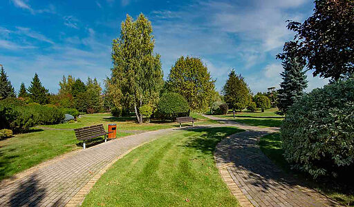 Миллениум Парк