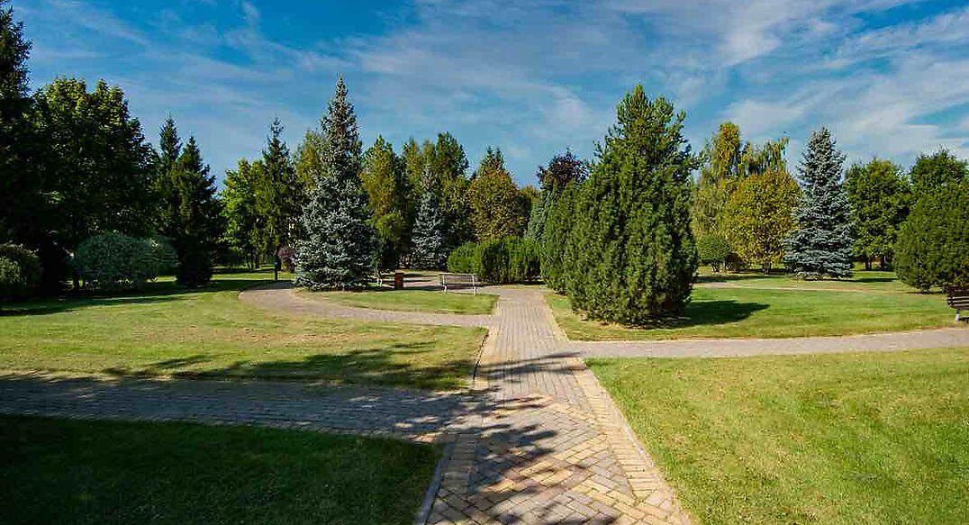 Миллениум Парк