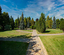 Миллениум Парк