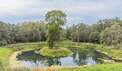 Дом у озера в КП Позитив
