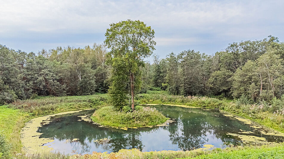 Дом у озера в КП Позитив
