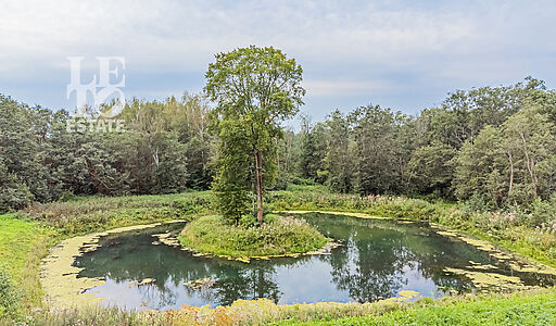 Дом у озера в КП Позитив