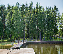 Лесной участок КП Лазурный берег