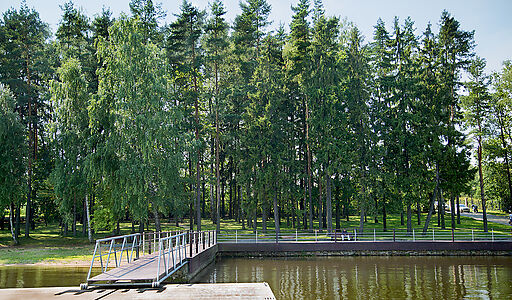 Лесной участок КП Лазурный берег