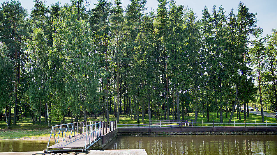 Лесной участок КП Лазурный берег