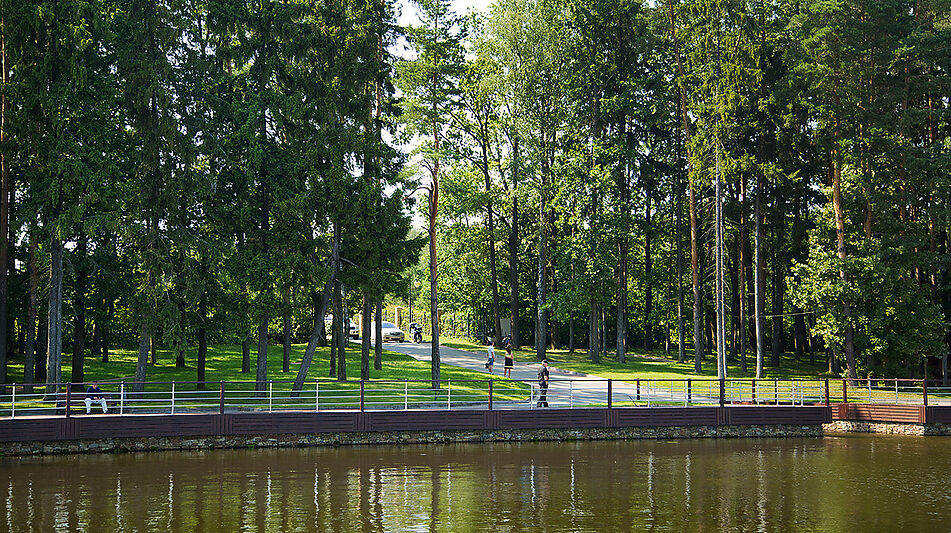 Лесной участок КП Лазурный берег