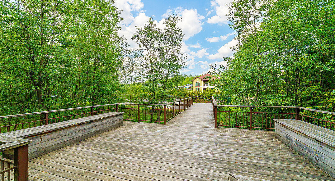 Новолеоново