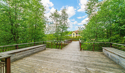 Новолеоново