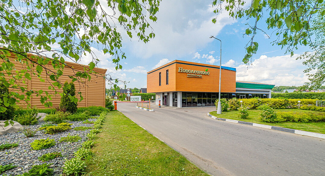 Новолеоново