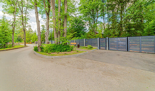 Новолеоново