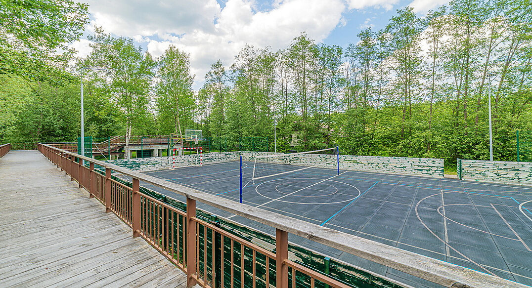 Новолеоново