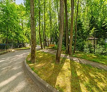 Новолеоново