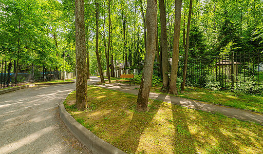 Новолеоново