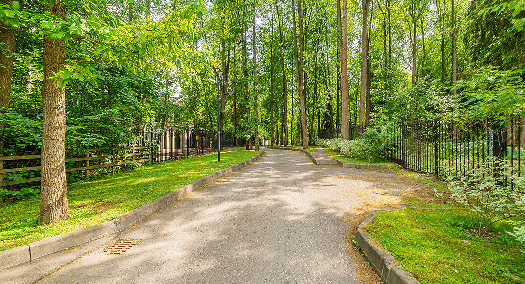 Новолеоново