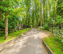 Новолеоново