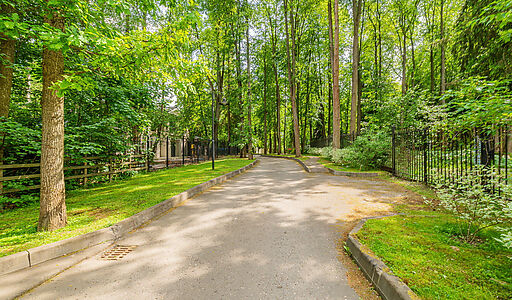 Новолеоново