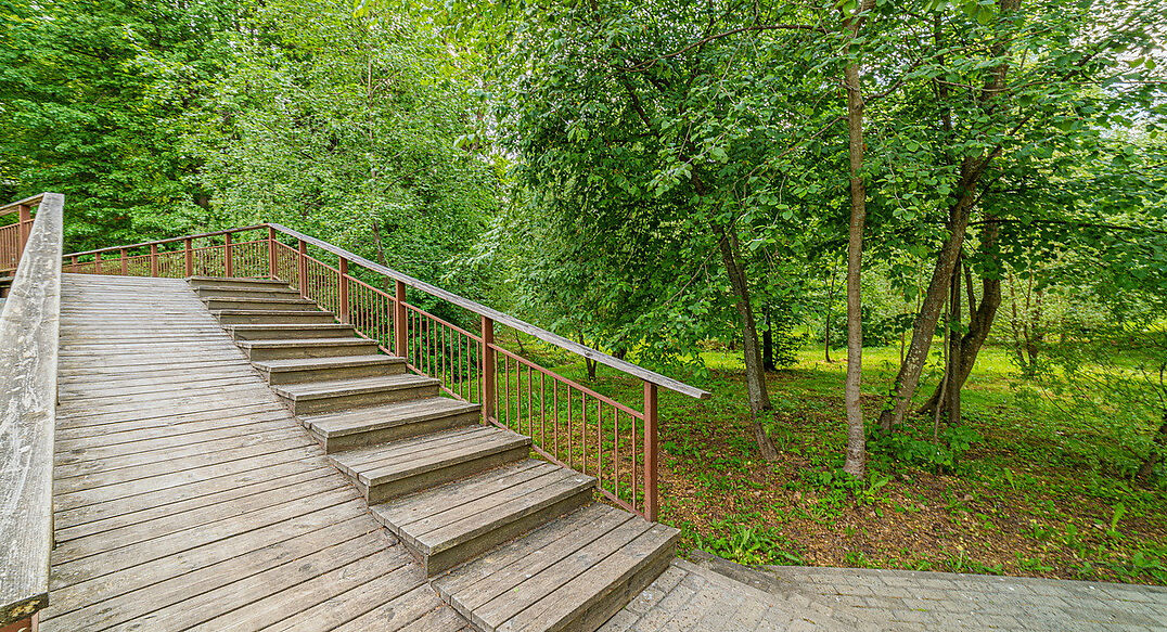 Новолеоново