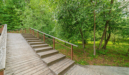 Новолеоново