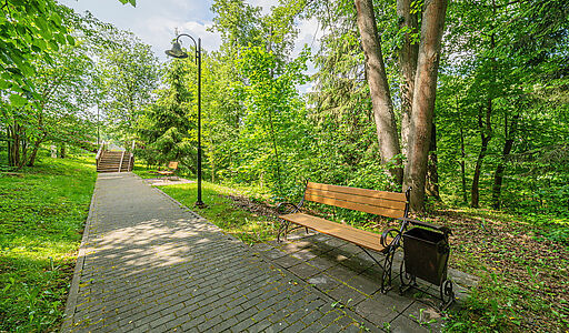 Новолеоново